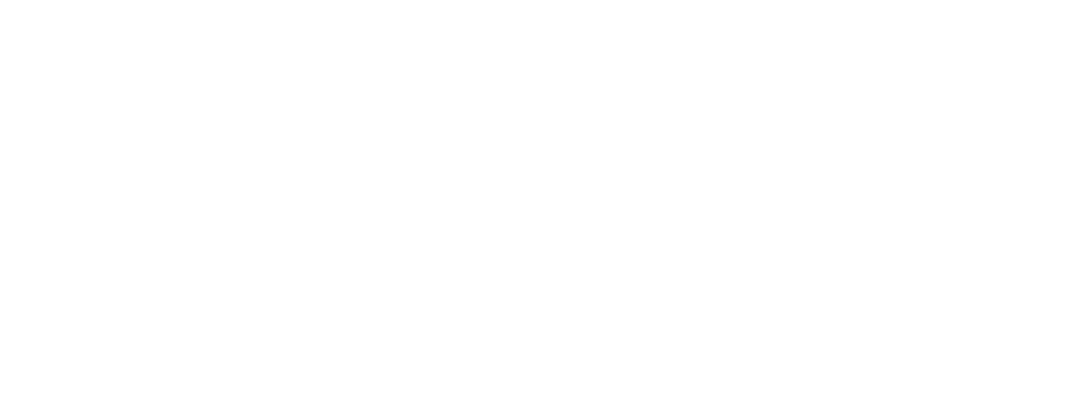 Logo-VS-White